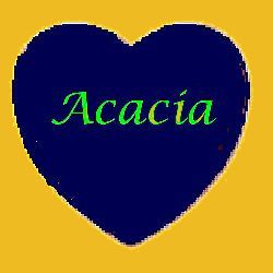 Acacia