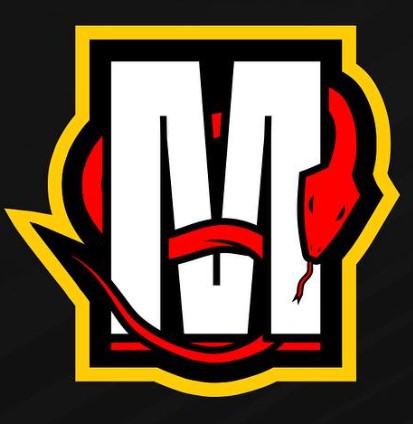 Maryland Whipsnakes Stats