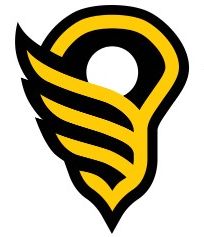 Women's Lacrosse League
